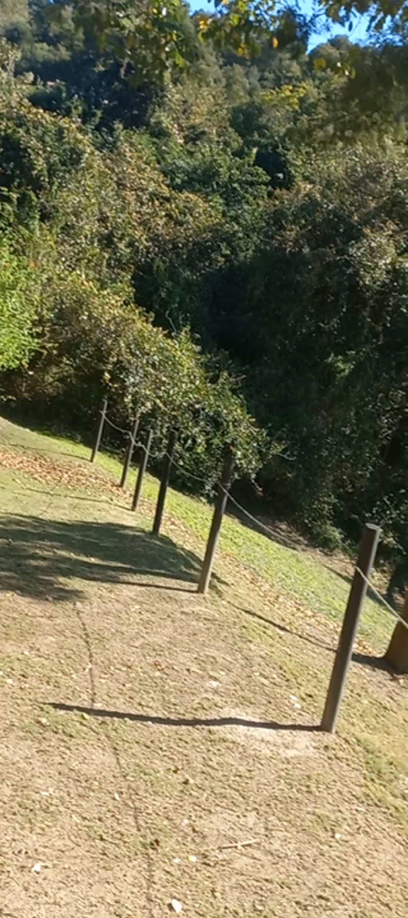 10 Bedroom Property for Sale in Hoekwil Western Cape